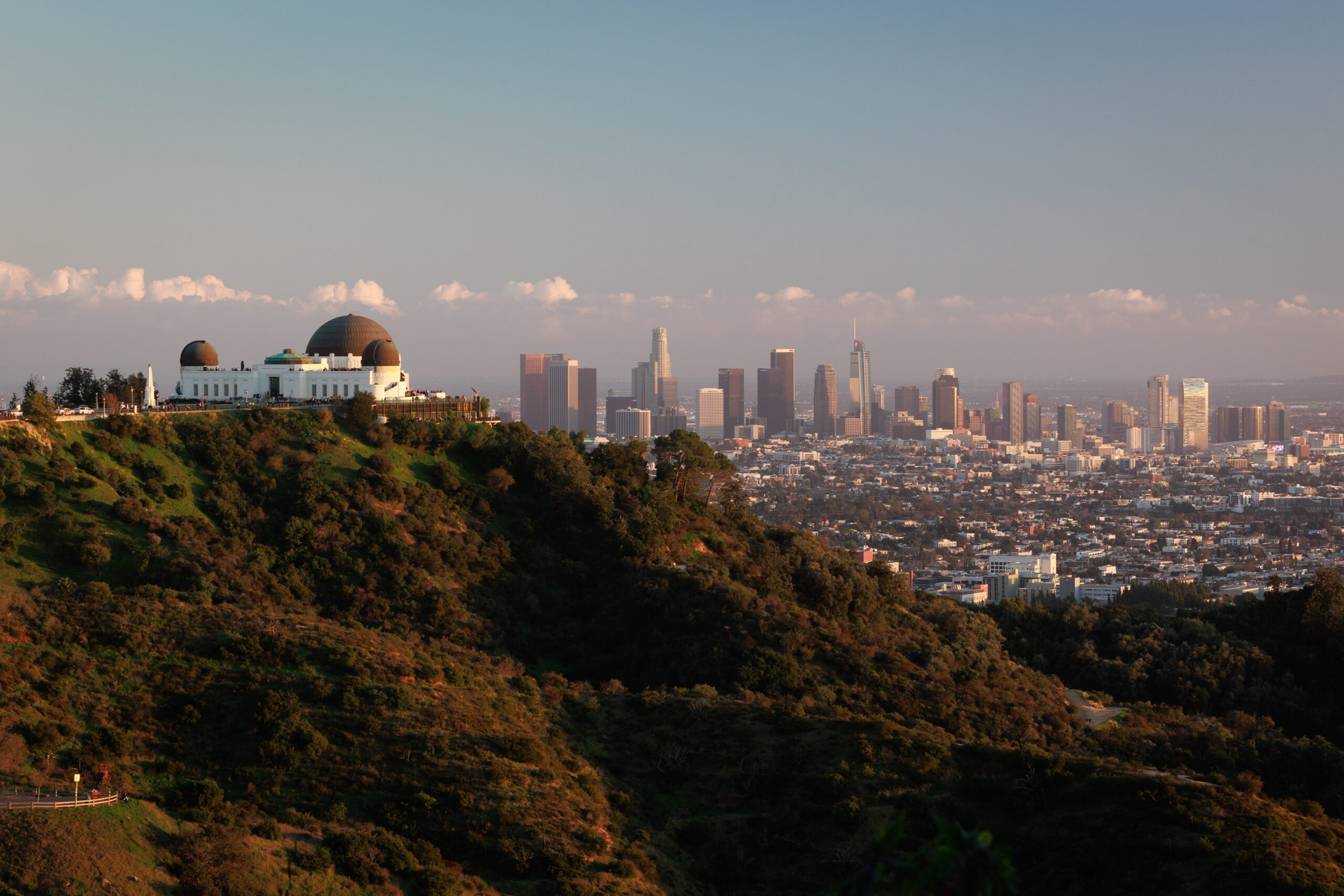 The Observatory Looks Out on the City